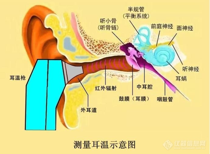 星空体育平台官网：星空体育官网：拆机详解红外体温计（耳温枪）结构原理 掌握正确使用要领(图2)